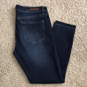 Articles of Society Skinny Ankle Jeans
